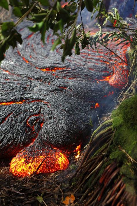 This Is What Happens When Lava Swallows A Tree Lava Flow Volcano Lava