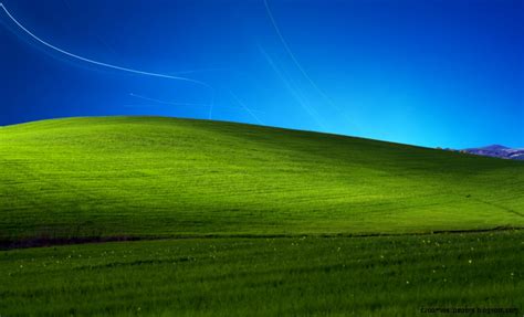 Windows Xp Grass Wallpaper Zoom Wallpapers
