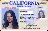 Images of Get Fl Drivers License Online