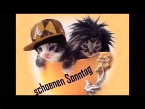 Hier findest du die besten bilder, fotos und gifs zum thema sonntag. Einen schönen Sonntag wünsche Ich / Have a nice Sunday I ...