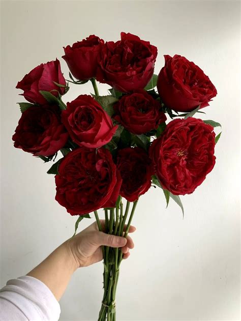 Tess Garden Roses In 2021 Red Flower Bouquet Beautiful Flower