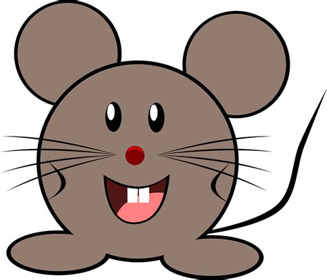 Download Mouse Grey Little Royalty Free Vector Graphic Pixabay