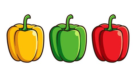 Bell Peppers Vector Isolated On White Background 7902066 Vector Art At