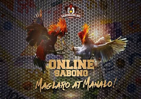 Sabong International Online Betting Heres What You Can Expect