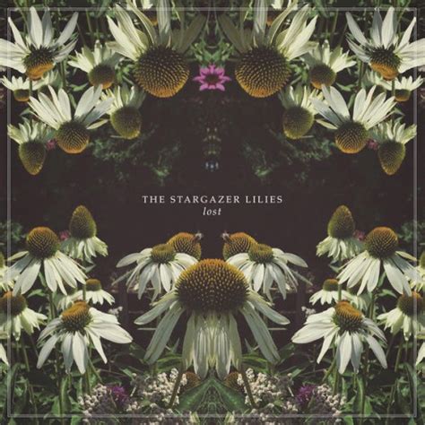 The Stargazer Lilies Lost Reviews Album Of The Year