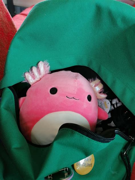 1189 Best Squishmallow Images On Pholder Squishmallow Costco And