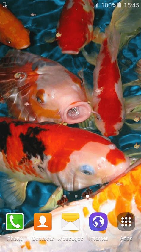 63 Gambar Animasi Ikan Lucu Paling Keren - Gambar Pixabay