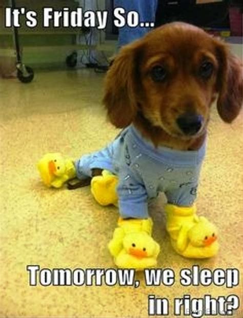 Life is good especially friday! 55 Crazy Friday Memes