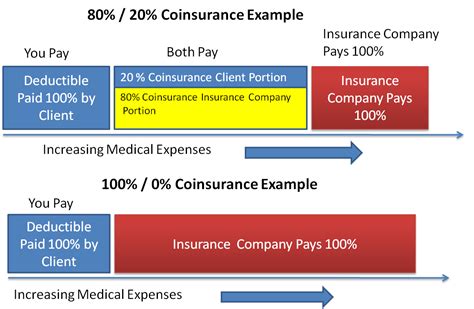 Understand pet insurance deductibles, your options, and how they work with trupanion's policy. Health Insurance Basics - How to understand coverage