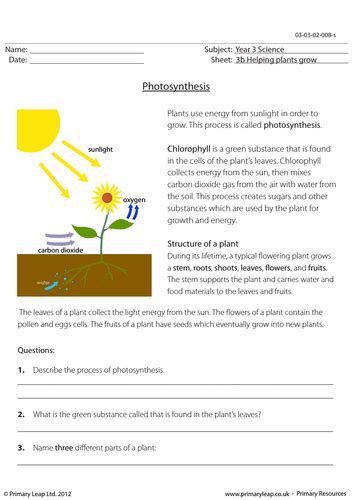Year 5 geography printable worksheets. KS2 Science worksheet - Photosynthesis | Teaching Resources