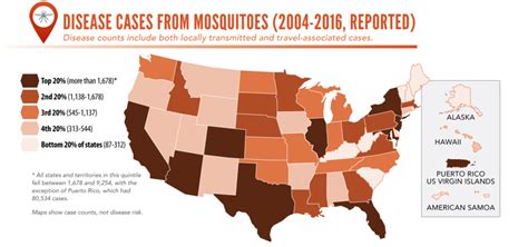 Mosquito Borne Diseases: What Diseases Do They Carry?