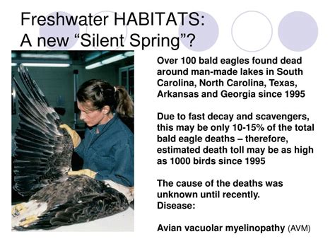 Ppt Harmful Algal Blooms Powerpoint Presentation Free Download Id