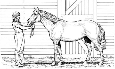 The moods of the horses in these coloring pages may range from being funny and jovial to grand and contemplative. Horse Color Page Girls - Coloring Sheets
