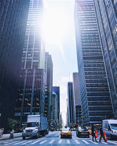The concrete jungle where dreams are made of! Concrete jungle where dreams are made of // # ...