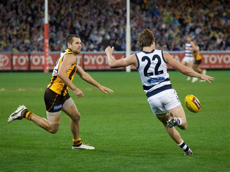 Footy tips, afl tipping, nrl tipping. AFL Round 14 2017 - Preview and Tips - Betting - The Profits