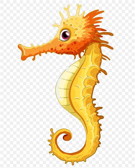 Seahorse Clip Art Png 619x1024px Seahorse Art Drawing Fictional