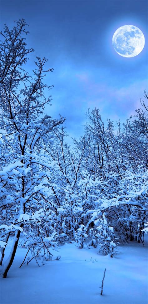 You will definitely choose from a huge number of pictures that option that will suit you exactly! 1440x2960 Winter Snow Nature 4k Samsung Galaxy Note 9,8, S9,S8,S8+ QHD HD 4k Wallpapers, Images ...