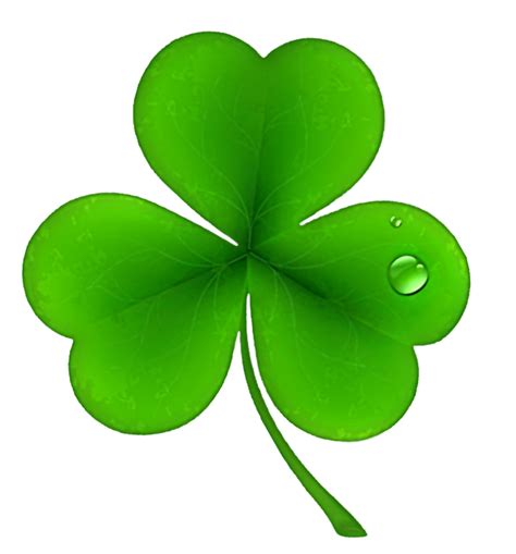 Clover Png