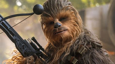 The Unexpected Inspiration Behind Chewbacca