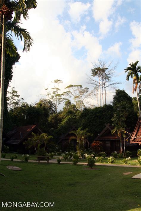 We did not find results for: Mutiara Taman Negara Resort at the entrance of the ...