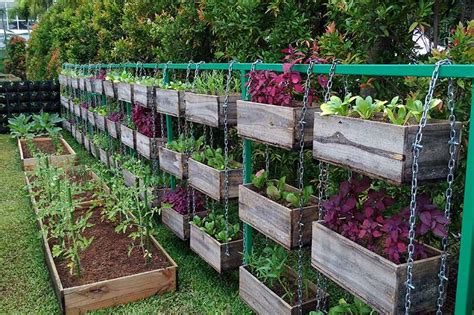 How To Plan The Best Layout For Your Vegetable Garden