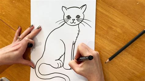 1 how to draw a cat: Beginners' Lesson - How To Draw a Cat (con imágenes)