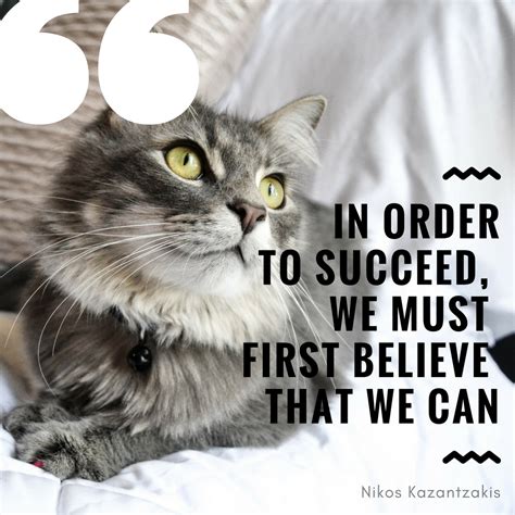 Cat Motivational Quotes