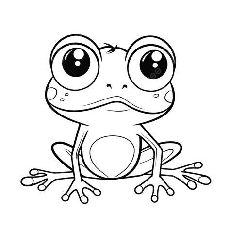 Frog Coloring Page Drawing Cartoon Frog Outline Sketch Vector Car