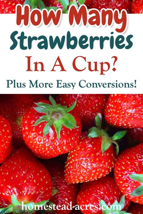 Yes, inversion seems to be the best way out. Strawberry Measures and Equivalents (That Make Cooking ...