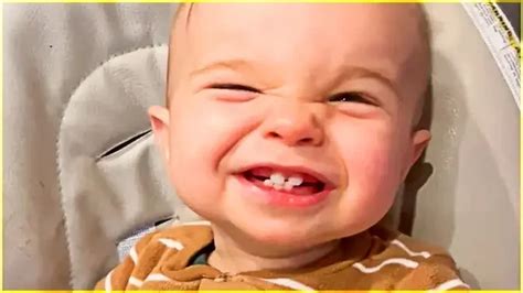 Funny Babies Laughing Hysterically Compilation 5 Cute Baby Videos