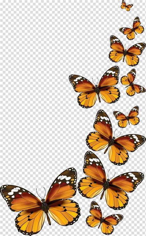 We did not find results for: Wedding invitation, flying butterfly transparent ...