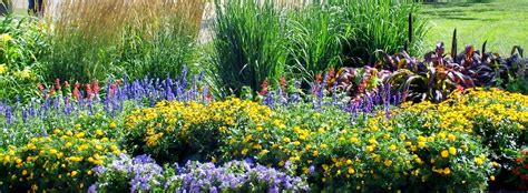 Passionate about how good design can. Talking to Plants: My Dream Garden