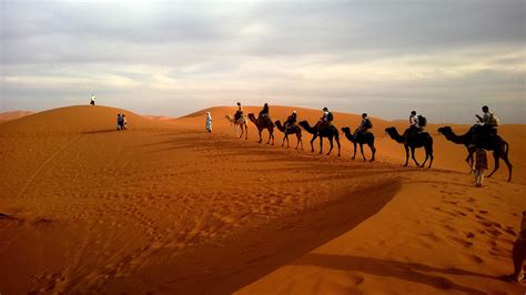 1600x1200 Camels In Caravan Desert 1600x1200 Resolution Hd 4k