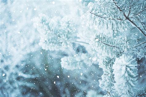 Best Winter Stock Photos Pictures And Royalty Free Images Istock