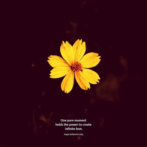 There are many special occasions to buy flowers. 9,012 Likes, 13 Comments - Angie Weiland-Crosby ...