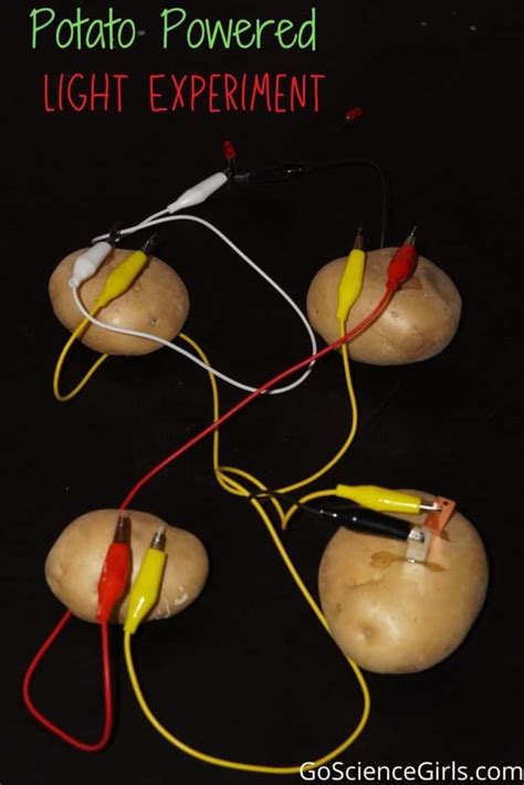 Diy Potato Battery Potato Light Bulb Science Fair Project