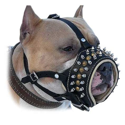 Purchase Soft Padded Leather Dog Muzzle Bulldog Muzzles