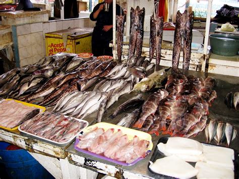 I think it is a technical problem, as the month ramlan is nearing this subject is very important and brother zakir is a scholar as well as a medical doctor, lecture of this sharks are strictly forbidden to eat in islam, because any animal that lust on blood smell and man eaters are completely haram. Eating Chilean: Eating Jibia: Chilean Humbolt Squid
