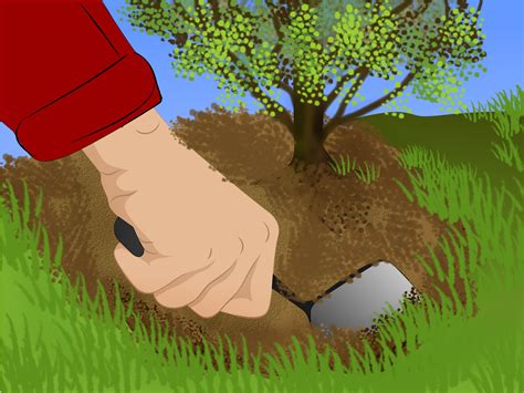 Its function is to catch debris, and it does its job how to deal with snails and slugs in the garden naturally and safely. How to Clear Large Shrubs: 15 Steps (with Pictures) - wikiHow