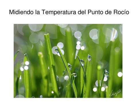 Ppt Punto De Rocío Y Clima Powerpoint Presentation Free Download