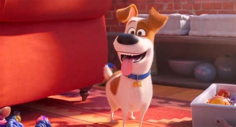 Illumination Unleashes The Max Trailer For The Secret Life Of Pets 2
