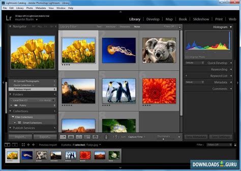 A powerful tool designed for photographers. Download Adobe Photoshop Lightroom for Windows 10/8/7 ...