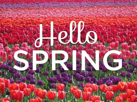 Happy first day of Spring! 🌷🌸🌻💐  Hello spring, First day of spring, Spring