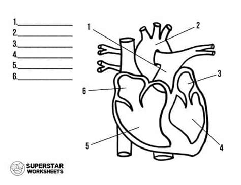Maybe you would like to learn more about one of these? Heart Worksheets - Superstar Worksheets