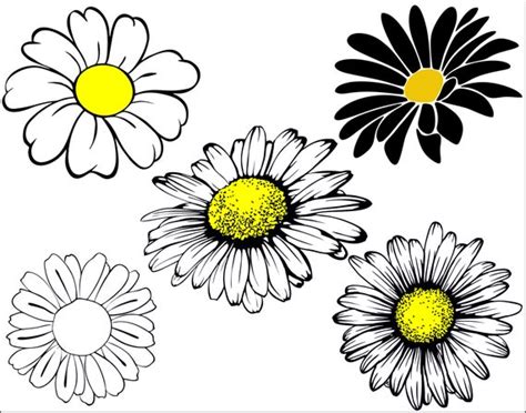 Flower Daisy Svg Images - 165+ SVG Design FIle