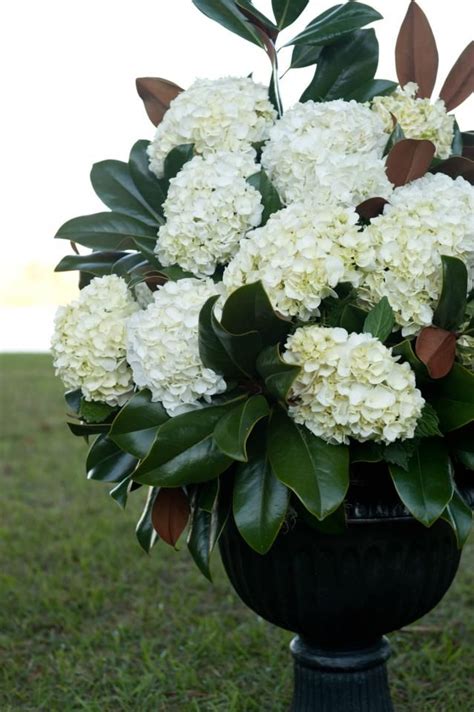 See more ideas about magnolia wedding, magnolia bouquet, wedding decorations. altar arrangements of white hydrangeas and magnolia ...