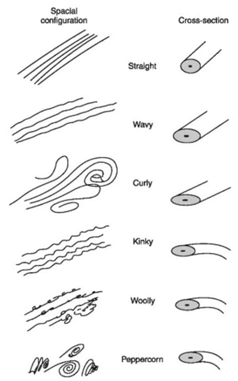 Is there straight pubic hair or is everyone's curly ...