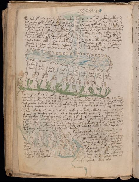 Mysterious Voynich Manuscript Decoded By British Academic Arts