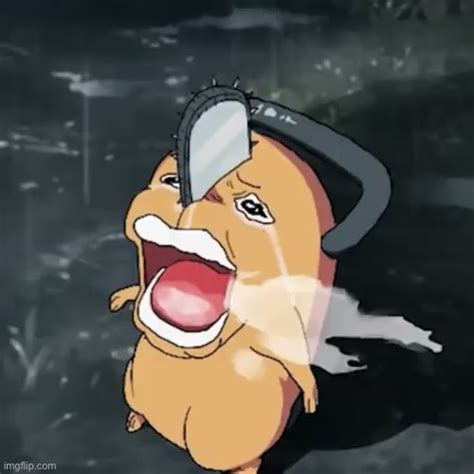 Pochita Copper Cry Imgflip