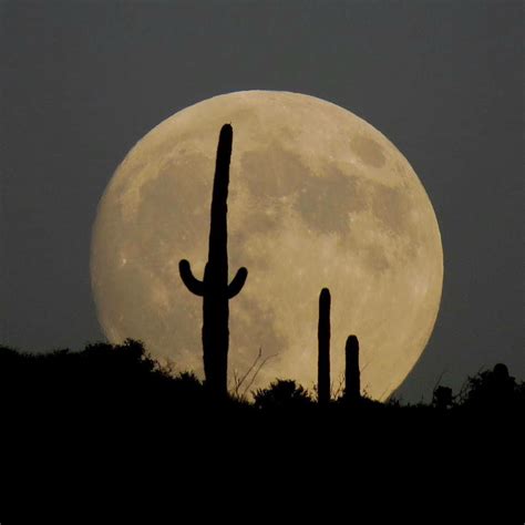 Super Moon In Arizona Good Night Moon Moon Photography Kids Events